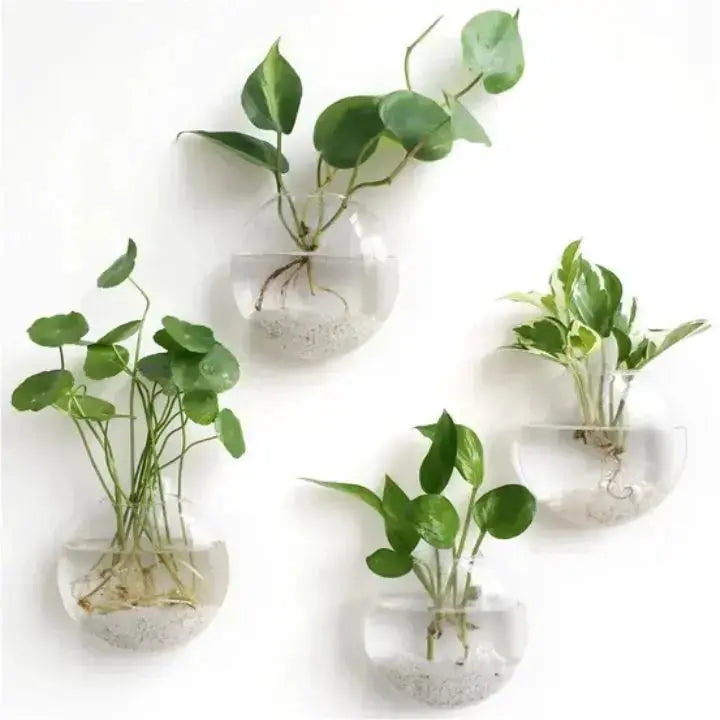 Stylish Wall Art WonderGlass for Modern Homes - Befez