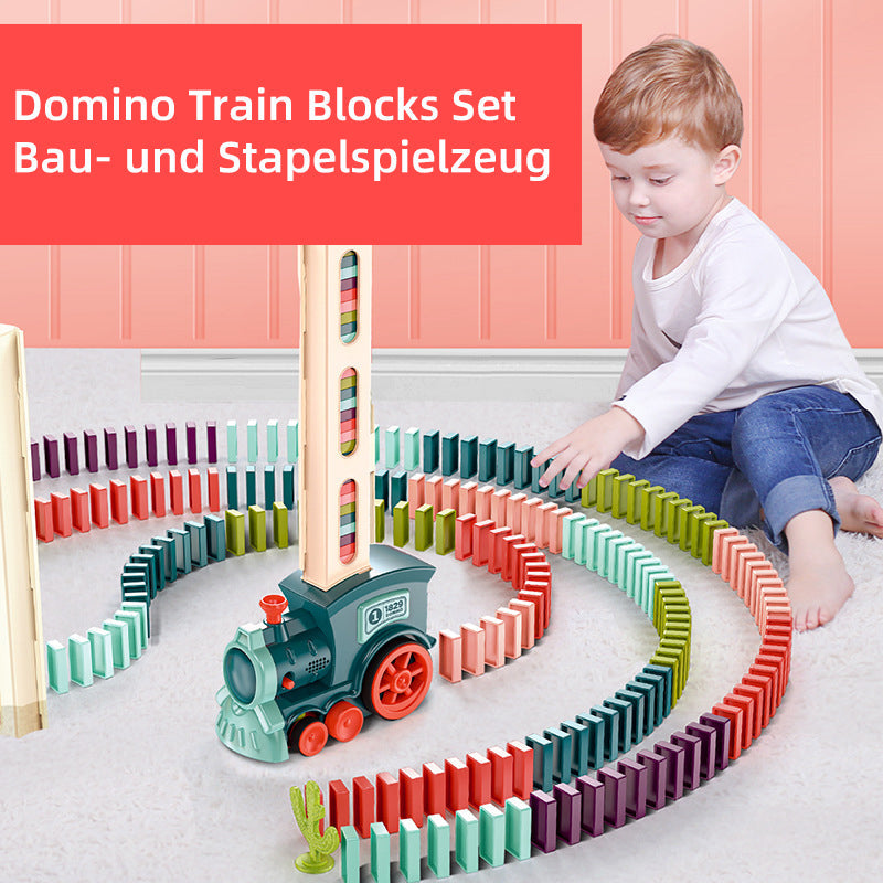 Colorful Wooden Domino Block Set