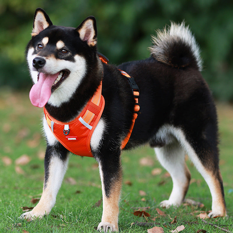 Visible Pet Reflective Dog Vest