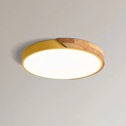 Modern Nordic LED Ceiling Light