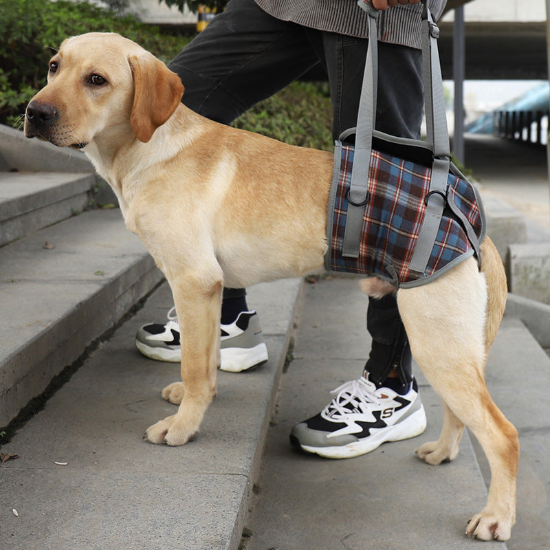 Supportive Dog Leg Brace Strap