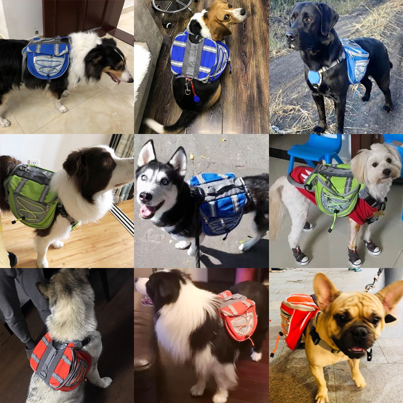Comfy Pet Travel Backpack Carrier