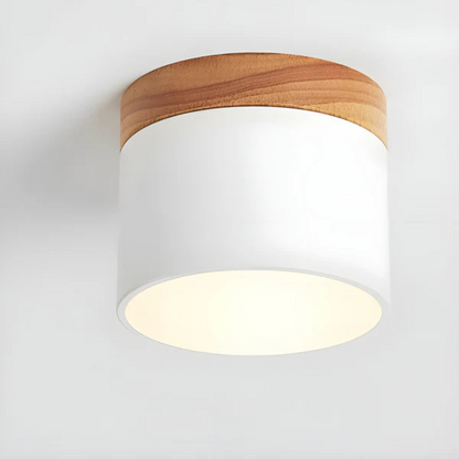 Classic Retro Style LED Light Fixture