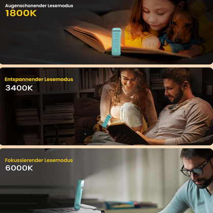 Compact Clip On LED Reading Lamp
