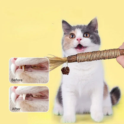 Pet Dental Chews Cat Teeth Cleaning Sticks
