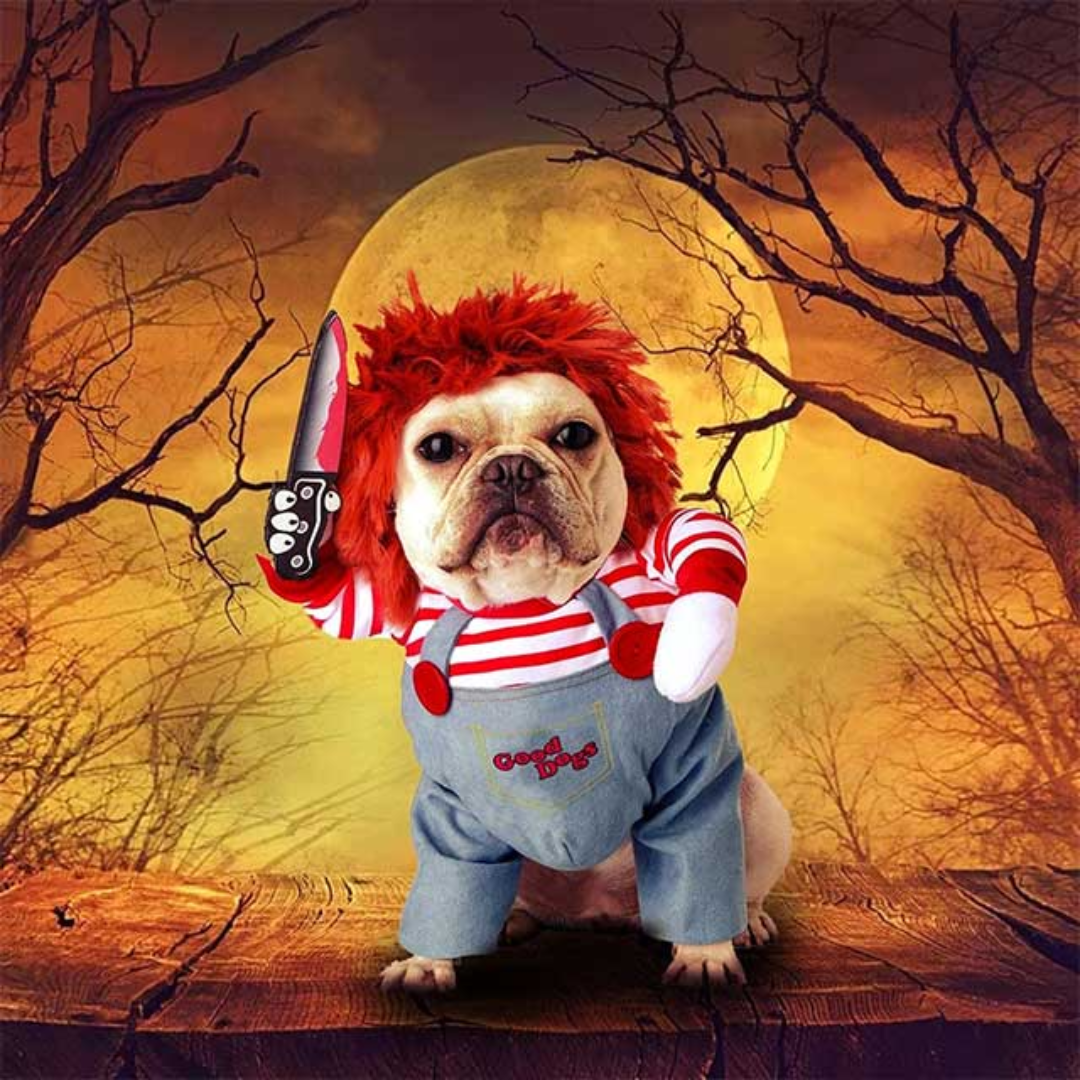 Funny Pet Halloween Outfit