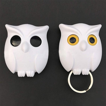 Cute Owl Wall Key Holder