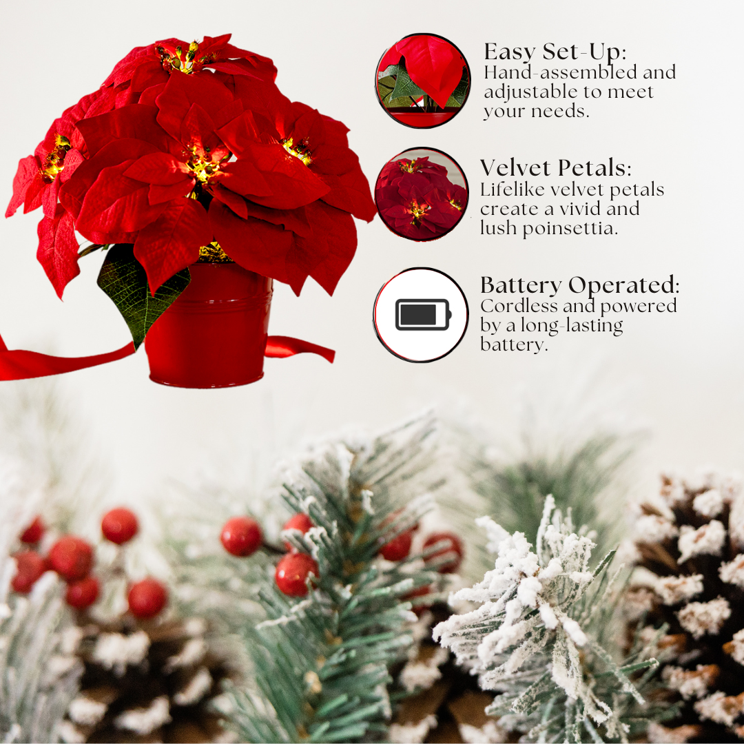 Bright Christmas Poinsettia Plant