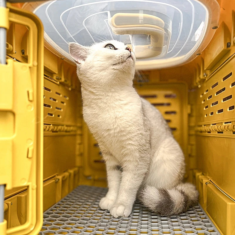 Portable Collapsible Pet Carrier Box - Befez