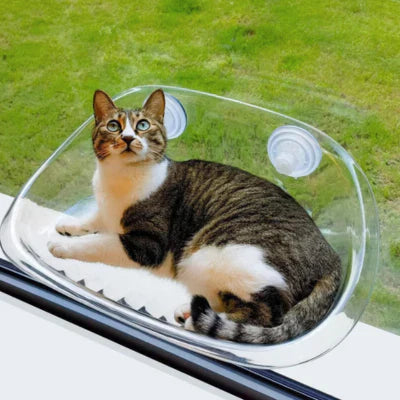 Comfy Cat Window Perch Seat - Befez