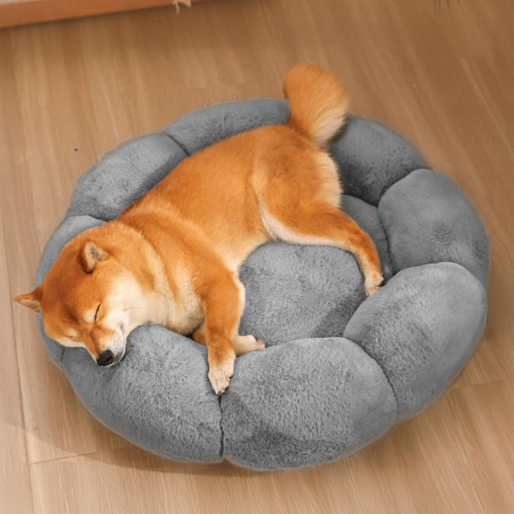 Cozy Floral Orthopedic Pet Bed for Dogs and Cats