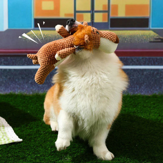 Tough Long Lasting Dog Toy - Befez