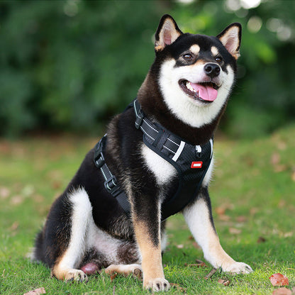 Visible Pet Reflective Dog Vest