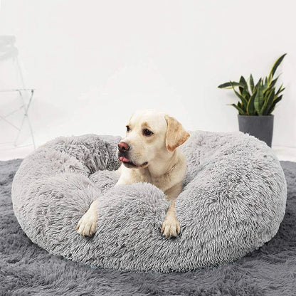 Comfy Pet Dog Mattress Befez