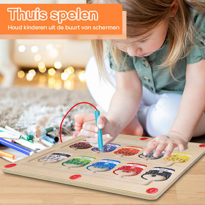 Fun Learning Magnet Board Toy