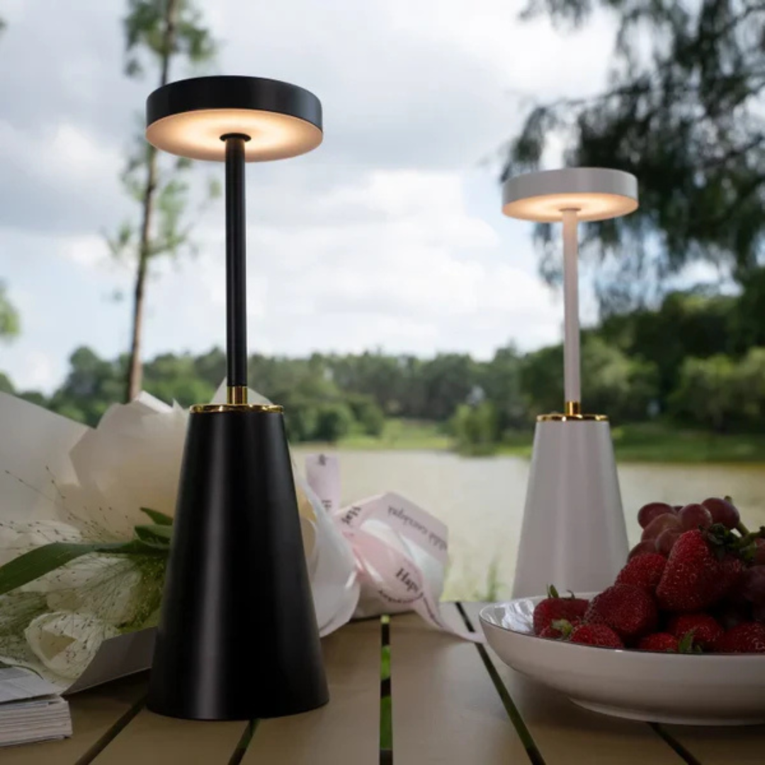 Portable LED Desk Light
