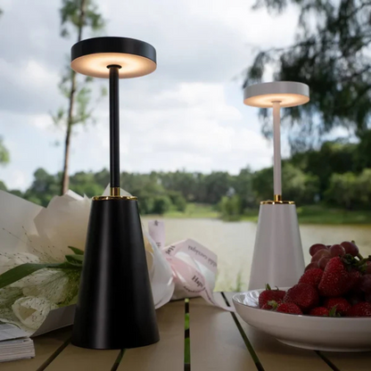 Portable LED Desk Light