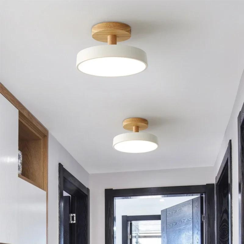 Slim Contemporary LED Ceiling Light