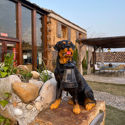 Fun Pet Solar Powered Lamp