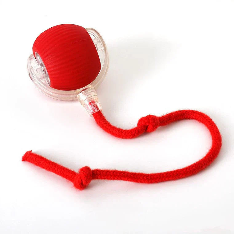 Fun Feather Teaser Toy for Cats