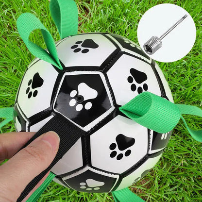 Fun Dog Rope Ball Interactive Toy