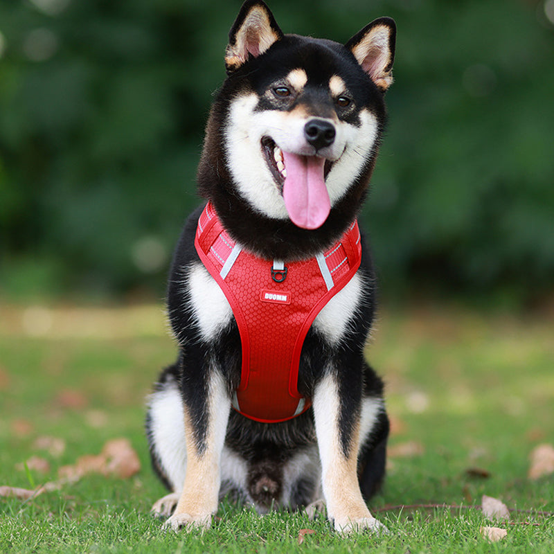 Visible Pet Reflective Dog Vest