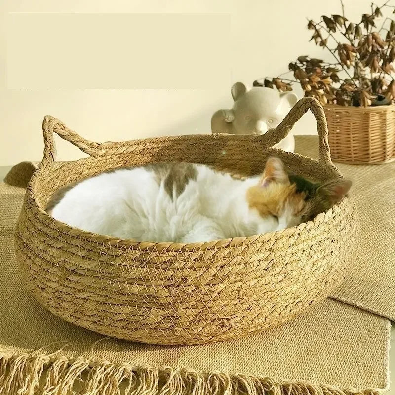 Cozy Plush Cat Bed with Washable Cushion - Befez