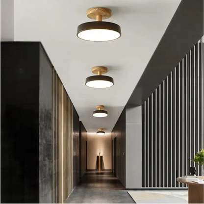 Slim Contemporary LED Ceiling Light