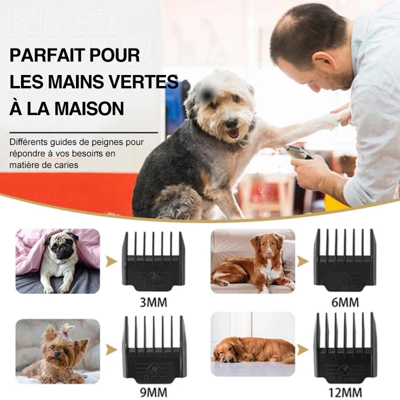 Premium Pet Grooming Tool Set