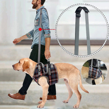 Supportive Dog Leg Brace Strap