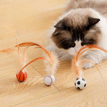 Fun Cat Feather Teaser Toy - Befez