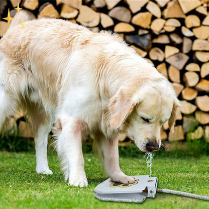 Fun Outdoor Dog Water Splash Toy - Befez