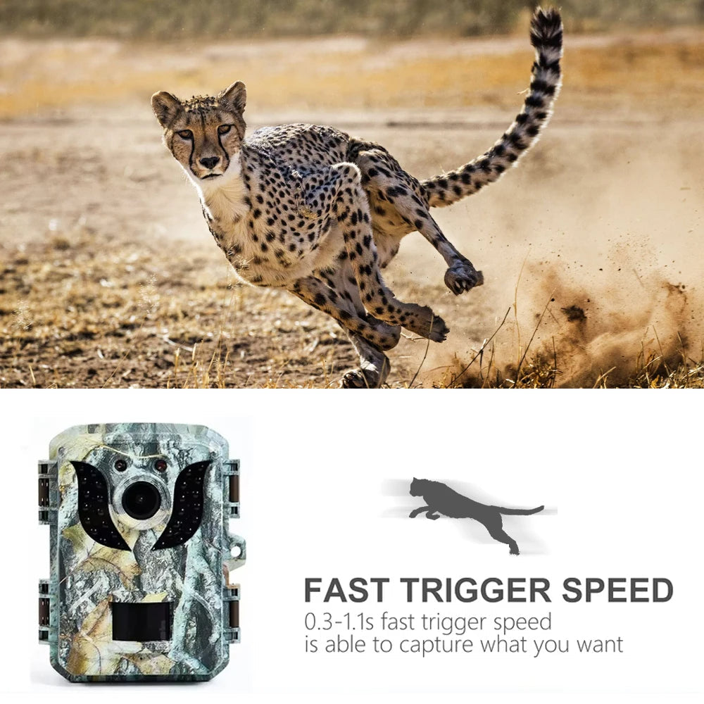 Small Animal Trail Camera with HD Night Vision