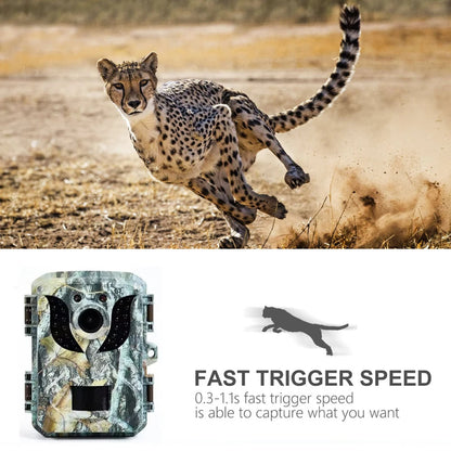 Small Animal Trail Camera with HD Night Vision