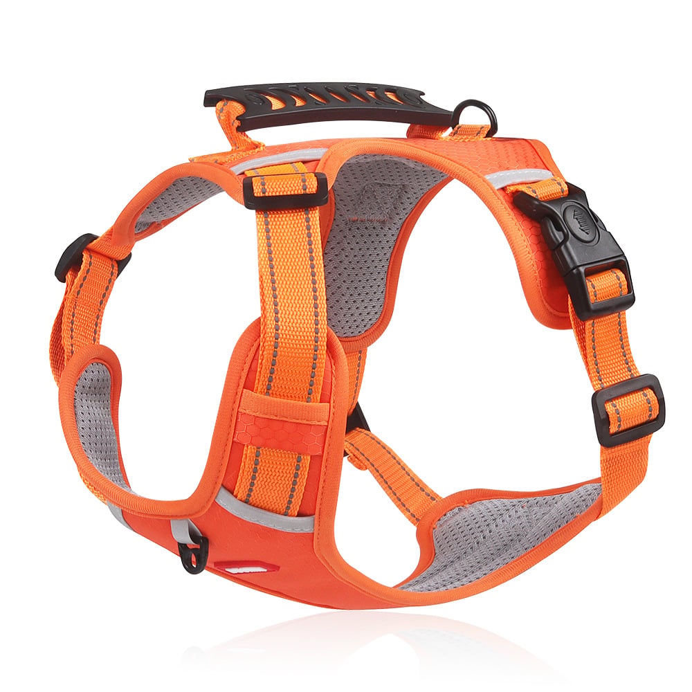 Comfortable No-Choke Dog Vest for Small Pets