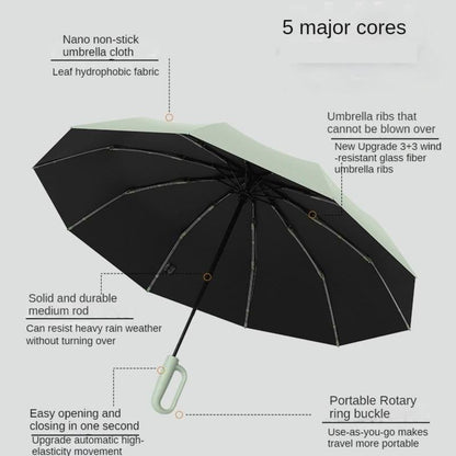 Compact Automatic Umbrella with Secure Grip Handle