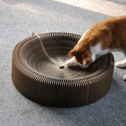 Folding Cat Scratcher Bed