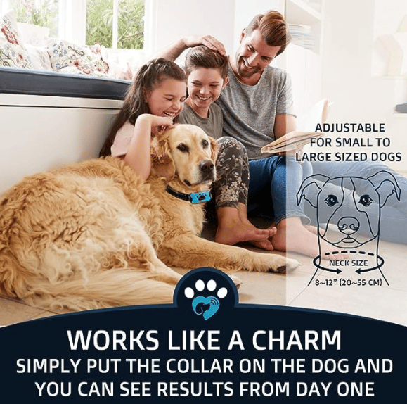 Effective No Bark Dog Collar