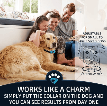 Effective No Bark Dog Collar