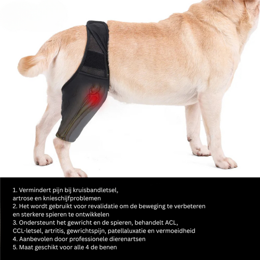 Comfortable Dog Knee Support Wrap for Arthritis Relief - Befez
