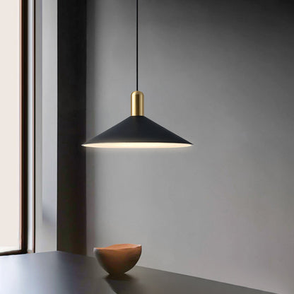 Stylish Contemporary Cone Shaped LED Light Fixture - Befez
