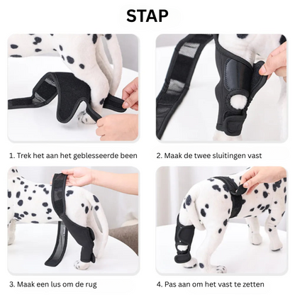 Comfortable Dog Knee Support Wrap for Arthritis Relief