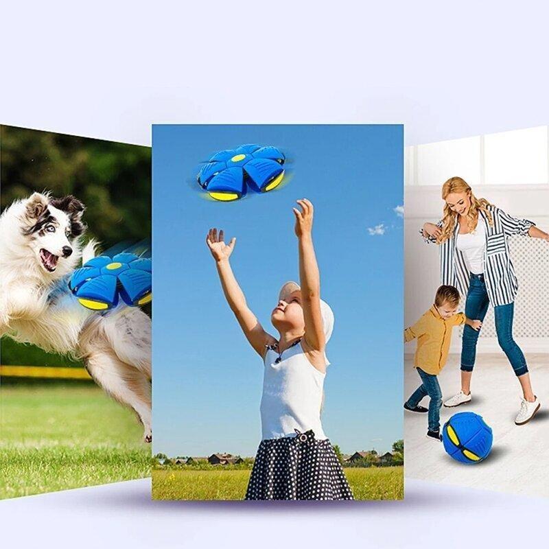 Fun Interactive Bouncy Ball Toy