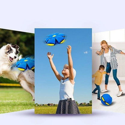 Fun Interactive Bouncy Ball Toy