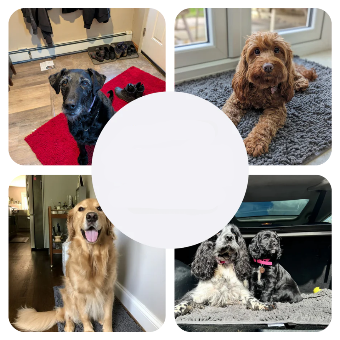 Waterproof Dog Bed Mat – Pet Absorbent Pad - Befez