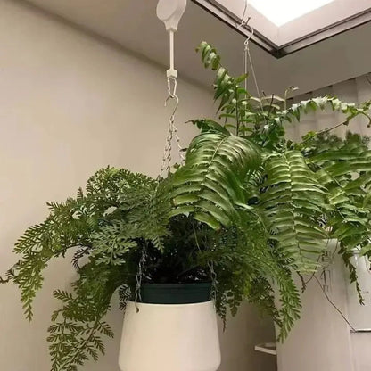 Easy Plant Watering System Kit