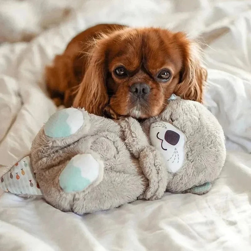 Calming Friend - Gentle Sounds and Lullaby Melodies
