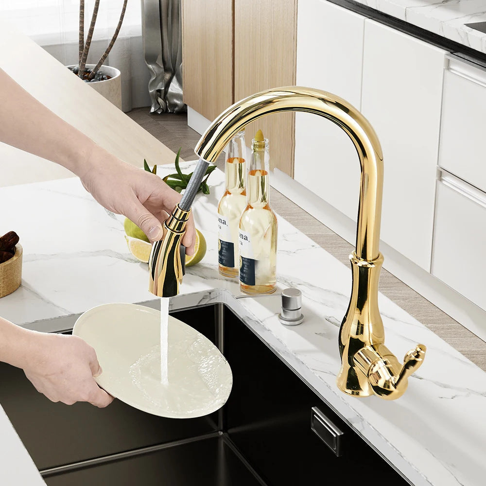 Stainless Steel Kitchen Sink Faucet with Hot and Cold Water Mixer