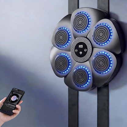 Wireless Home Boxing Fitness Speaker - Befez