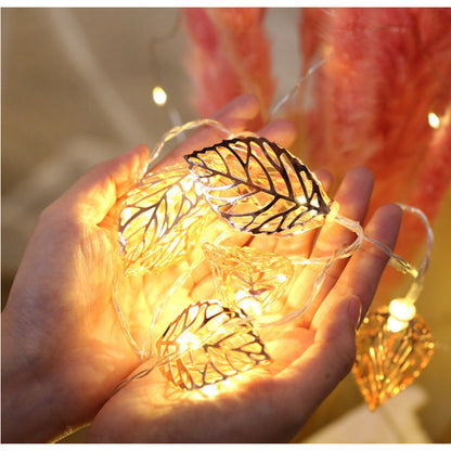Warm Copper LED Fairy String Lights